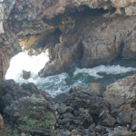 DSC00677-w740_h495